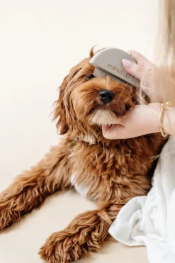 Detailer Comb for Dogs