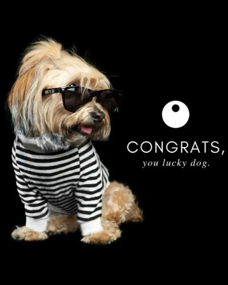 DOG & CO. | Gift Card