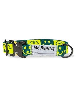 Dog Collar with Black Hardware in Neon Yellow & Green (Made in the USA)