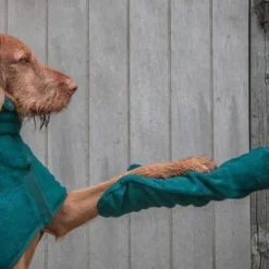 Dog Drying Mitts (Made in the UK)