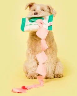 Doggo Wipes Nosework Dog Toy