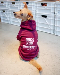 *Dogs for Democracy* Graphic Dog Hoodie (Proceeds Benefit the ACLU)