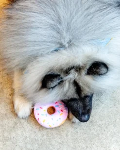 Donut Latex Squeaky Dog Toy