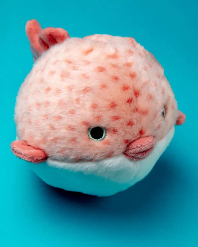 Dottie Puffer Fish Squeaky Plush Dog Toy