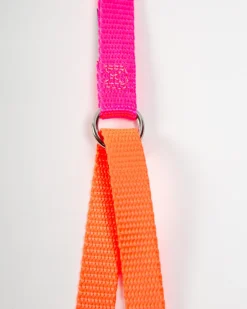 Double Clip Training Leash in Hot Pink + Neon Orange (Made in the USA)