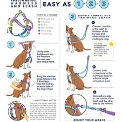Double Clip Training Leash in Hunter Green + Navy (Made in the USA)