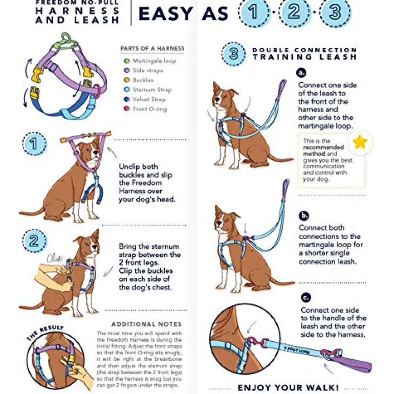 Double Clip Training Leash in Hunter Green + Navy (Made in the USA)