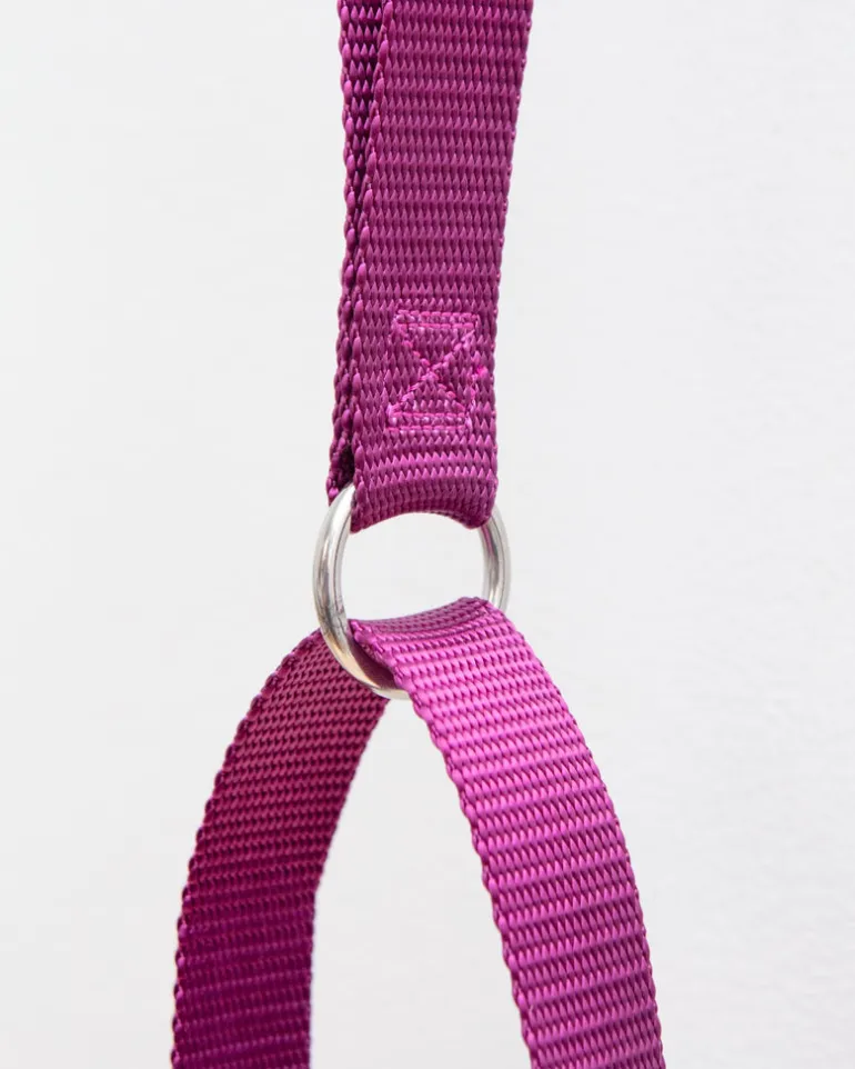 Double Clip Training Leash in Burgundy (Made in the USA)