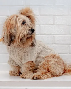 Downtown Roll Neck Dog Sweater in Natural (FINAL SALE)