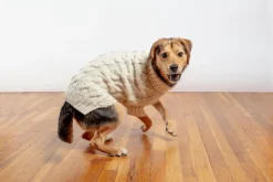 Downtown Roll Neck Dog Sweater in Natural (FINAL SALE)