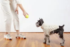 Downtown Roll Neck Dog Sweater in Natural (FINAL SALE)