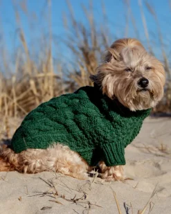 Downtown Roll Neck Dog Sweater in Evergreen (FINAL SALE)