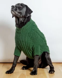 Downtown Roll Neck Dog Sweater in Evergreen (FINAL SALE)