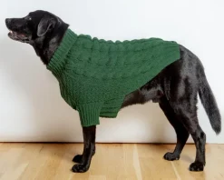 Downtown Roll Neck Dog Sweater in Evergreen (FINAL SALE)