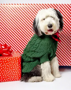 Downtown Roll Neck Dog Sweater in Evergreen (FINAL SALE)