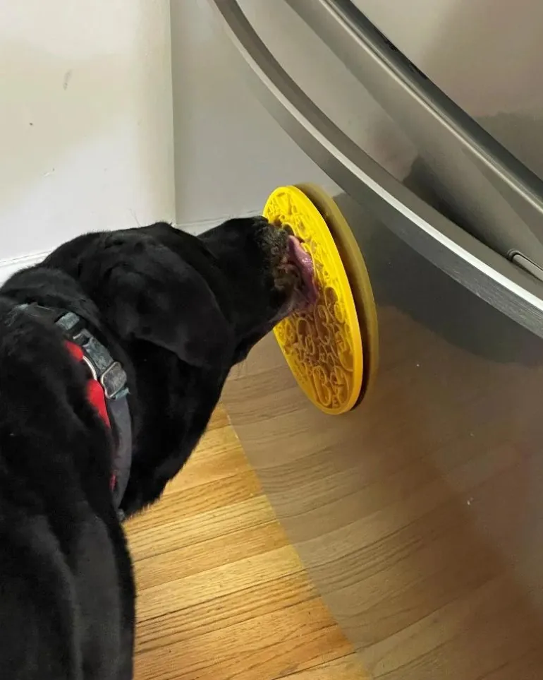 Duckies Dog Lick Mat With Suction Cups (Made in the USA)