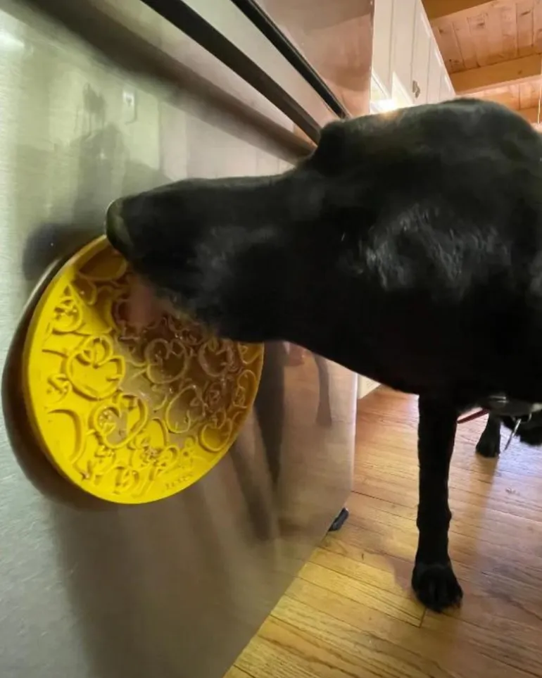 Duckies Dog Lick Mat With Suction Cups (Made in the USA)