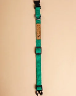 Easy Dog Collar in Green