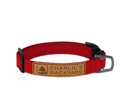 Easy Dog Collar in Red