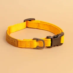 Easy Dog Collar in Yellow