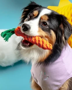 Eco-Friendly Carrot Rope Dog Toy