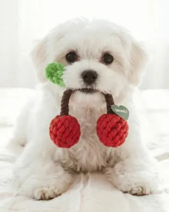 Eco-Friendly Cherries Rope Dog Toy