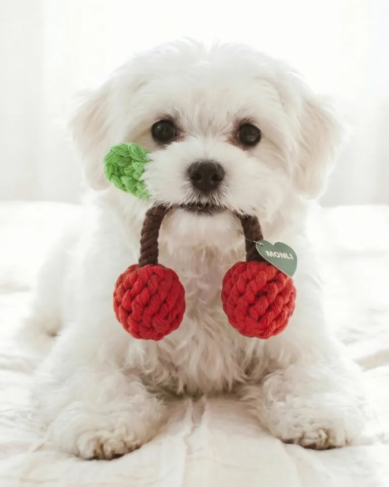 Eco-Friendly Cherries Rope Dog Toy