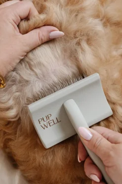 Everyday Slicker Brush for Dogs