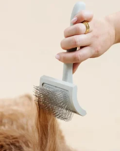 Everyday Slicker Brush for Dogs