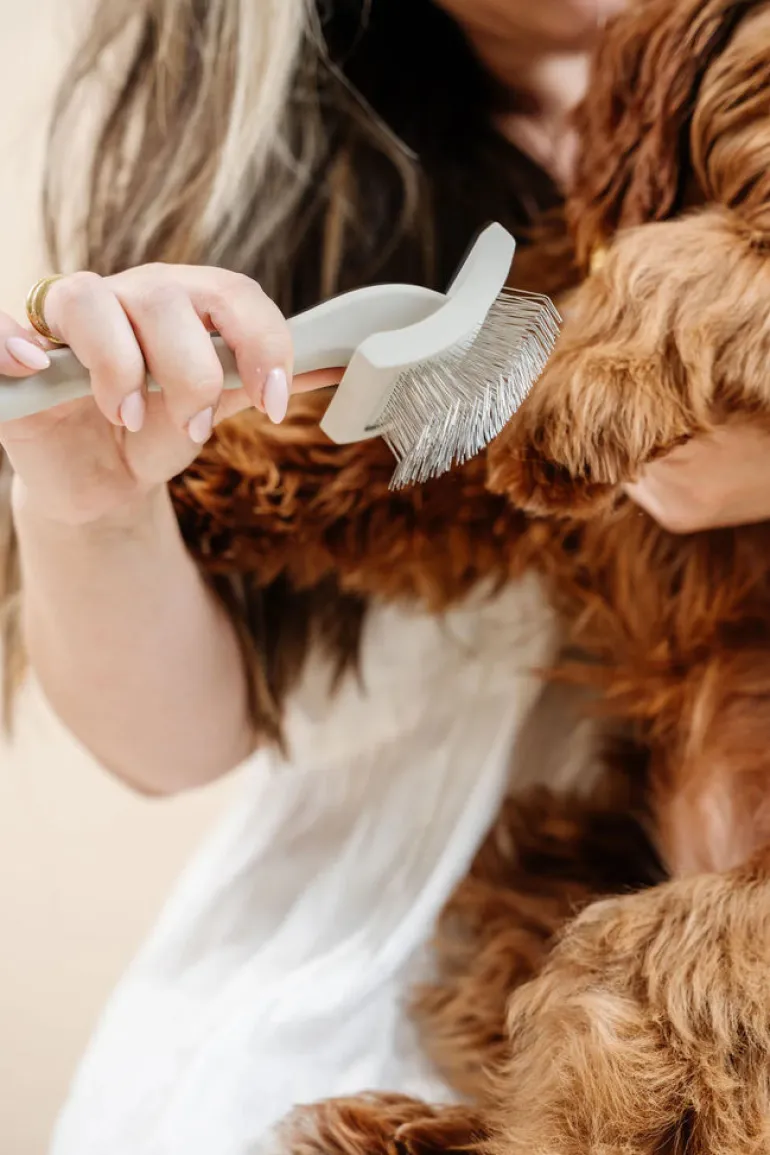 Everyday Slicker Brush for Dogs