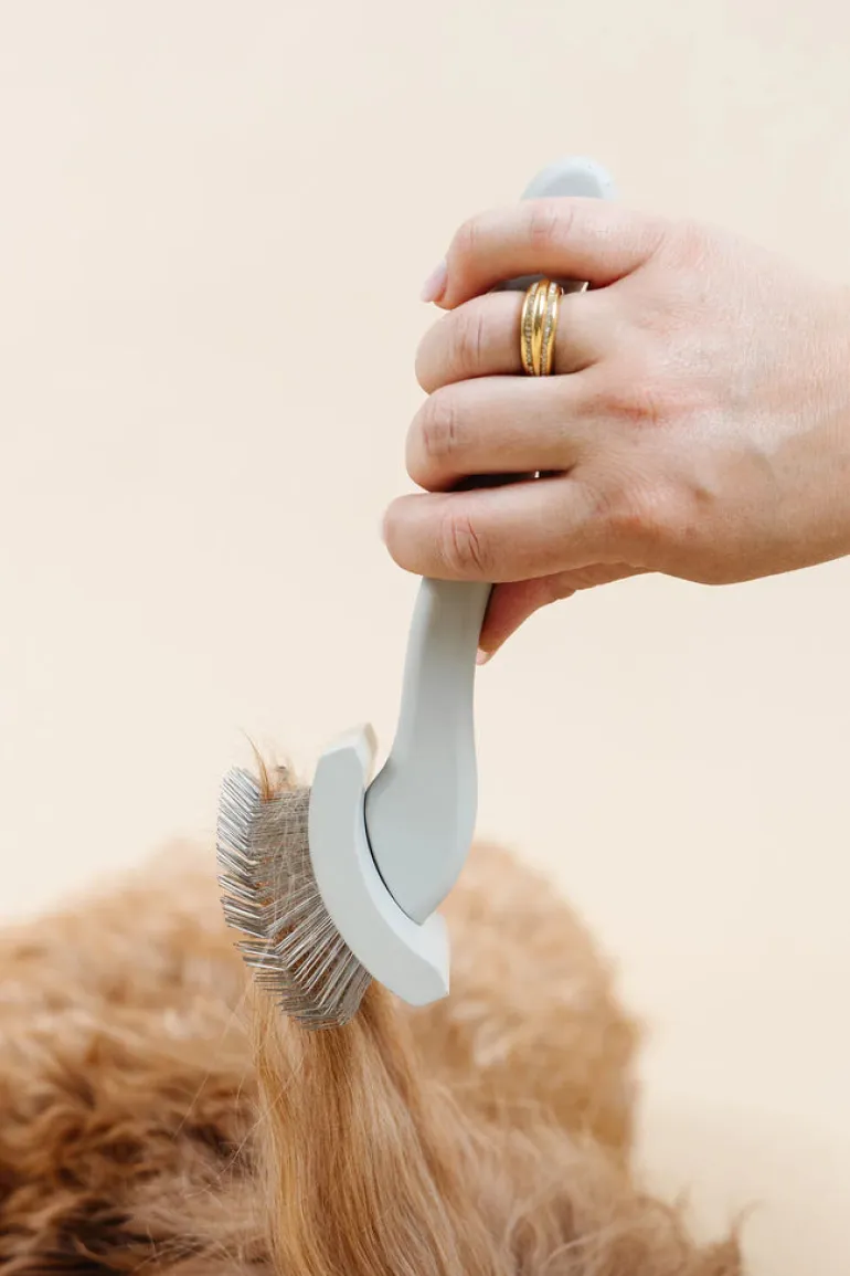 Everyday Slicker Brush for Dogs
