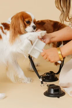 Everyday Slicker Brush for Dogs