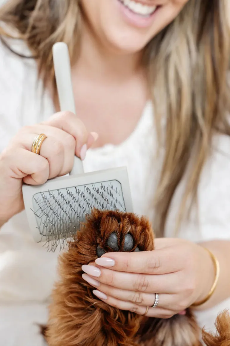 Everyday Slicker Brush for Dogs