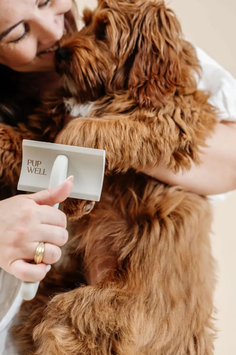 Everyday Slicker Brush for Dogs