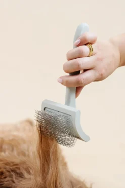 Everyday Slicker Brush for Dogs