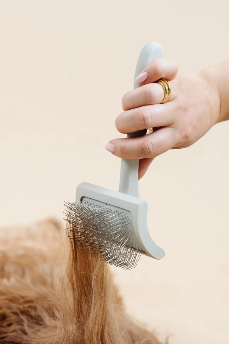 Everyday Slicker Brush for Dogs