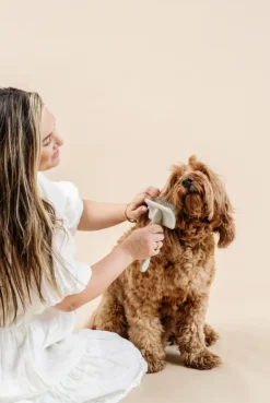 Everyday Slicker Brush for Dogs