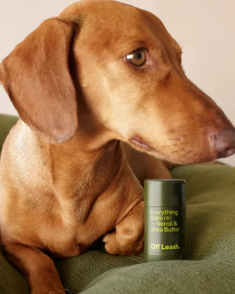Everything Balm for Dogs