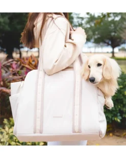 Everywhere Convertible Tote Bag Pet Carrier