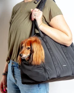 Everywhere Convertible Tote Bag Pet Carrier