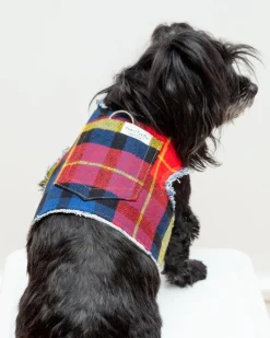 Fireside Plaid Print Dog Harness (Made in the USA)