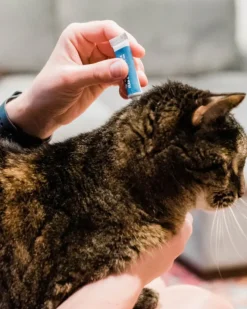 Flea & Tick Spot On for Dogs + Cats with Natural Essential Oils