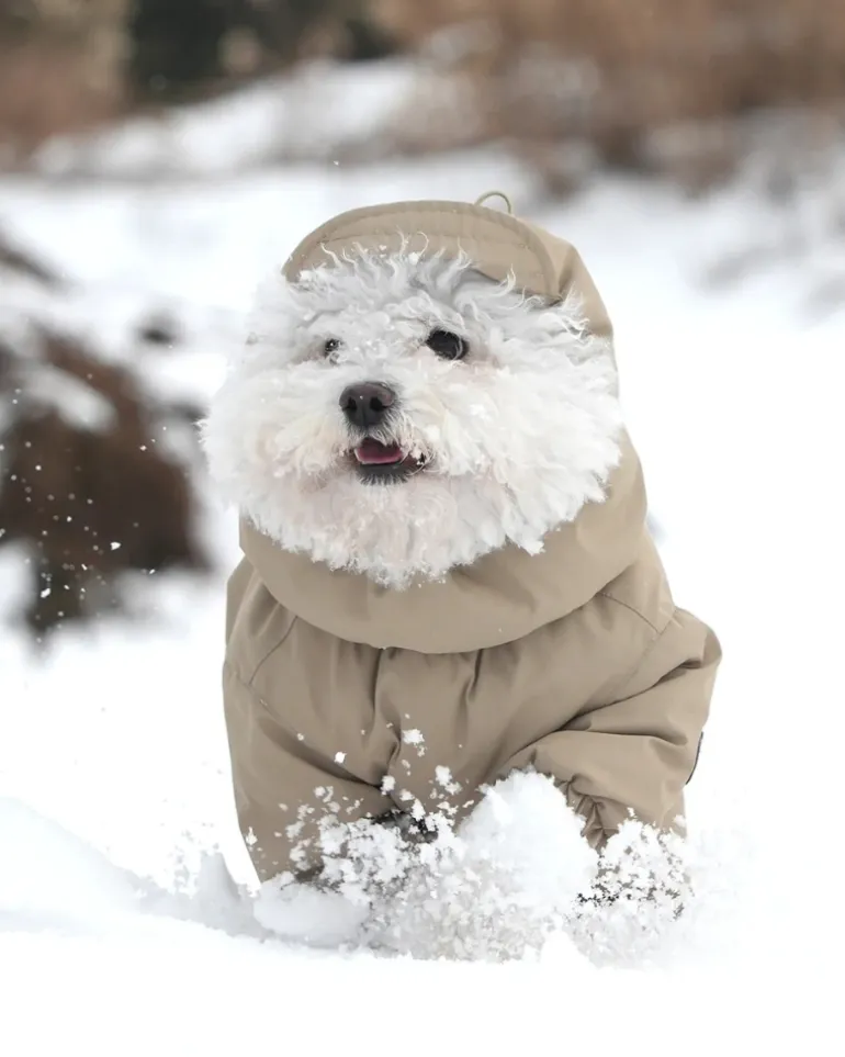 Fleece-Lined Winter Coverall for Dogs