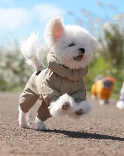 Fleece-Lined Winter Coverall for Dogs