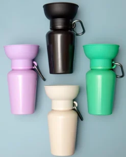 Flip Top Travel Water Bottle for Dogs
