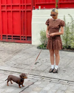 Flower Power Dog Leash in Cougar