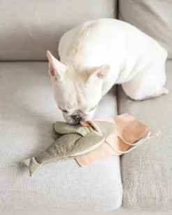 Flying Fish Snuffle + Burrow Plush Dog Toy