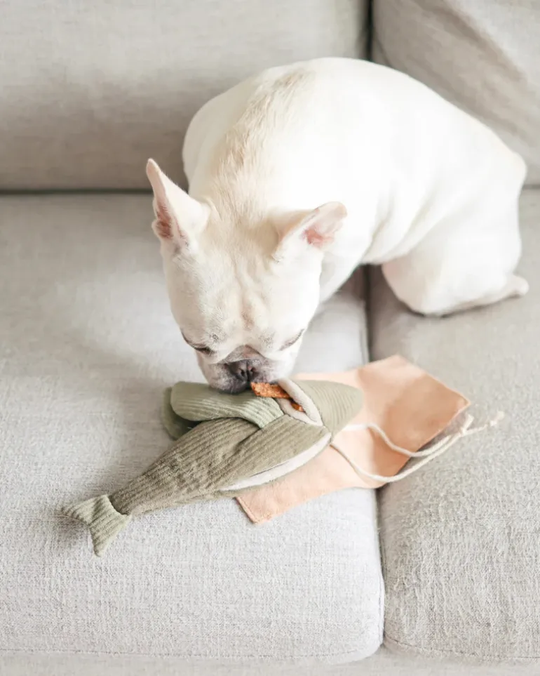 Flying Fish Snuffle + Burrow Plush Dog Toy