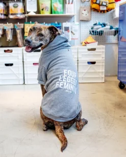 *Four Legged Feminist* Graphic Dog Hoodie (Proceeds Benefit the ACLU)