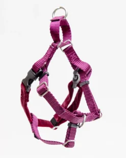 Freedom No-Pull Harness in Burgundy (Made in the USA)